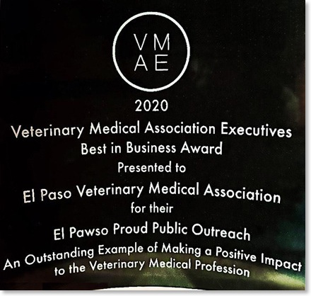 EPVMA_VMAE_Award20_6in